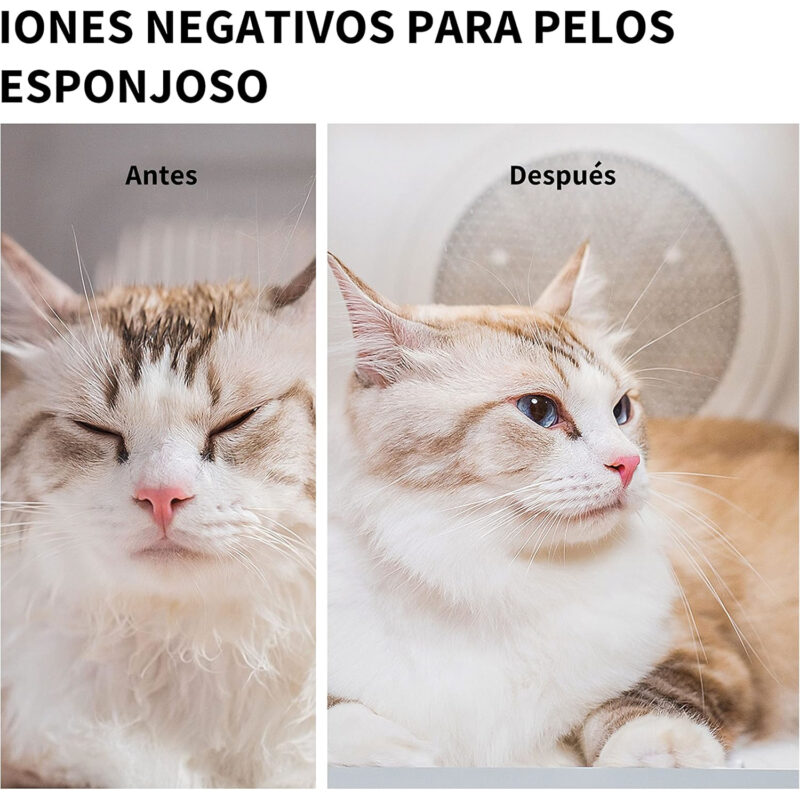Secadora Automática de Mascotas PETKIT AIRSALON MAX - Imagen 2